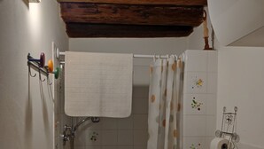 A small bathroom with a shower, toilet, and a towel rack. - apartment/ flat - Venezia (Venezia)