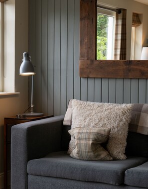 Smart TV, fireplace, DVD player, books