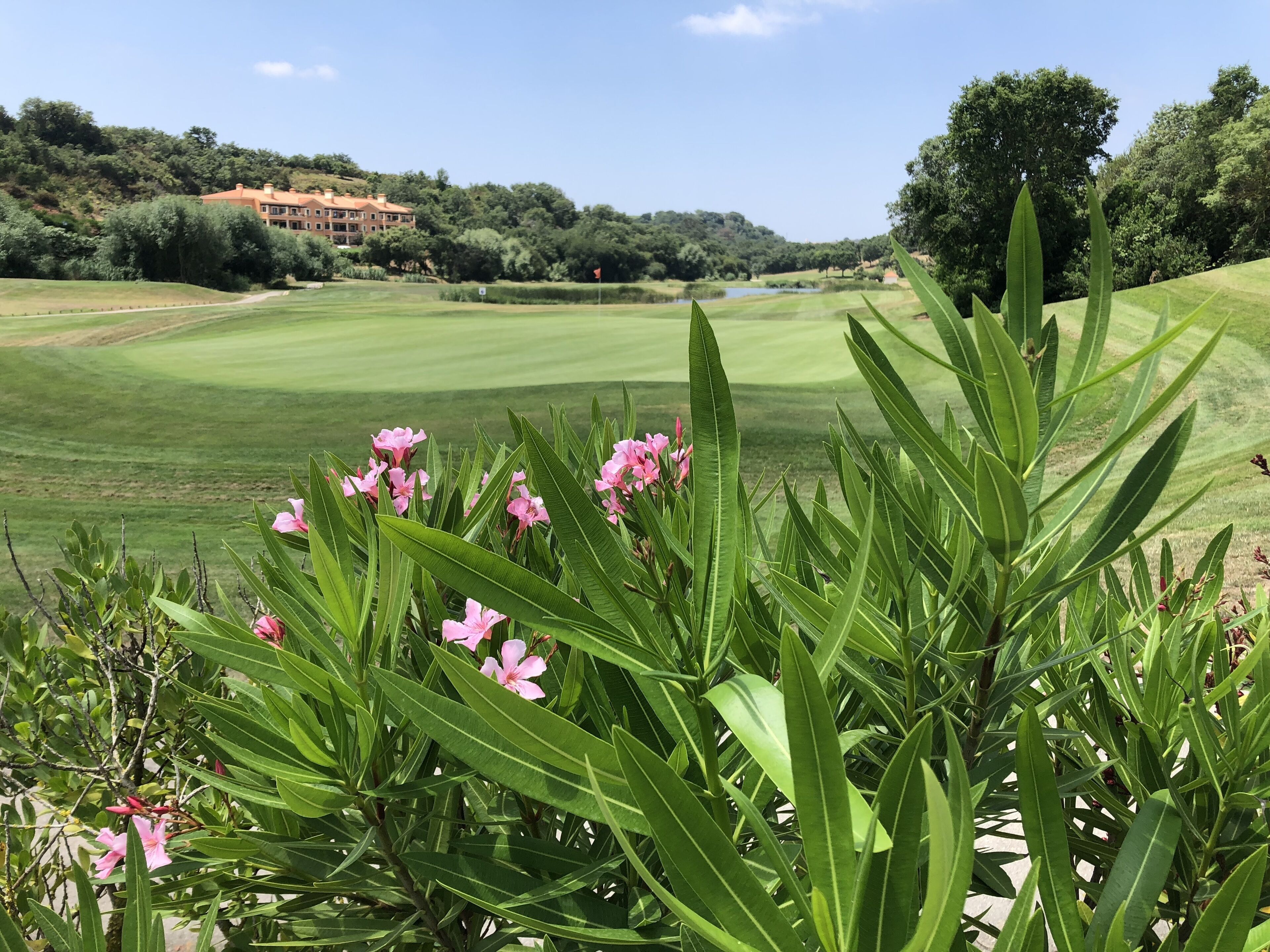 Golf course