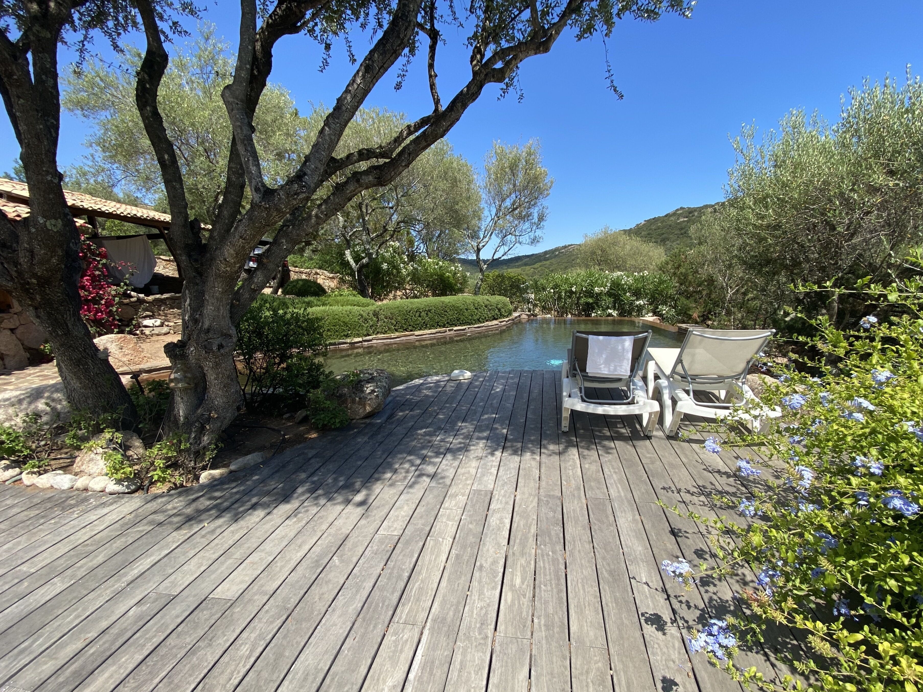 Une terrasse en bois avec deux chaises longues donnant sur un petit étang, le tout entouré de verdure et d’arbres.