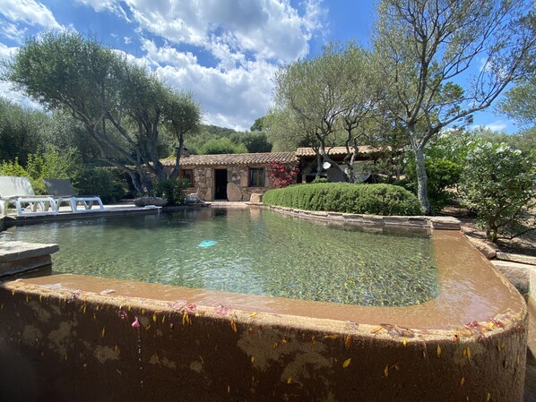 Pool - House / Villa - Porto-Vecchio (Porto-Vecchio)