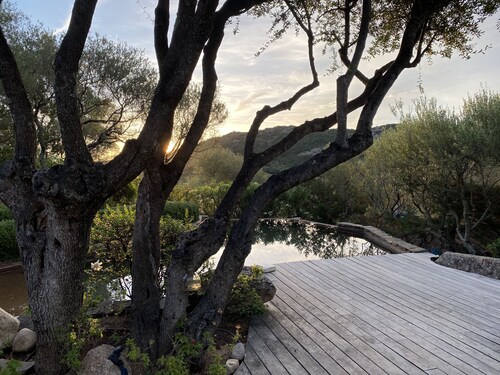 Bergerie sur la route de Palombaggia