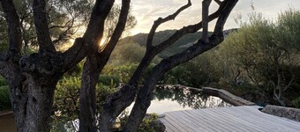 Schaapskooi op de weg naar Palombaggia