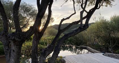 Bergerie sur la route de Palombaggia