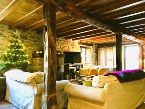 Smart TV, fireplace, DVD player, books