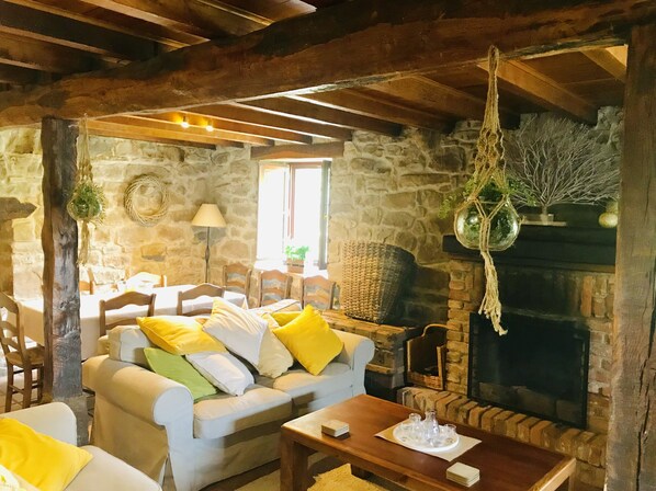 Smart TV, fireplace, DVD player, books