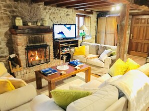 TV connectée, cheminée, lecteur de DVD, livres
