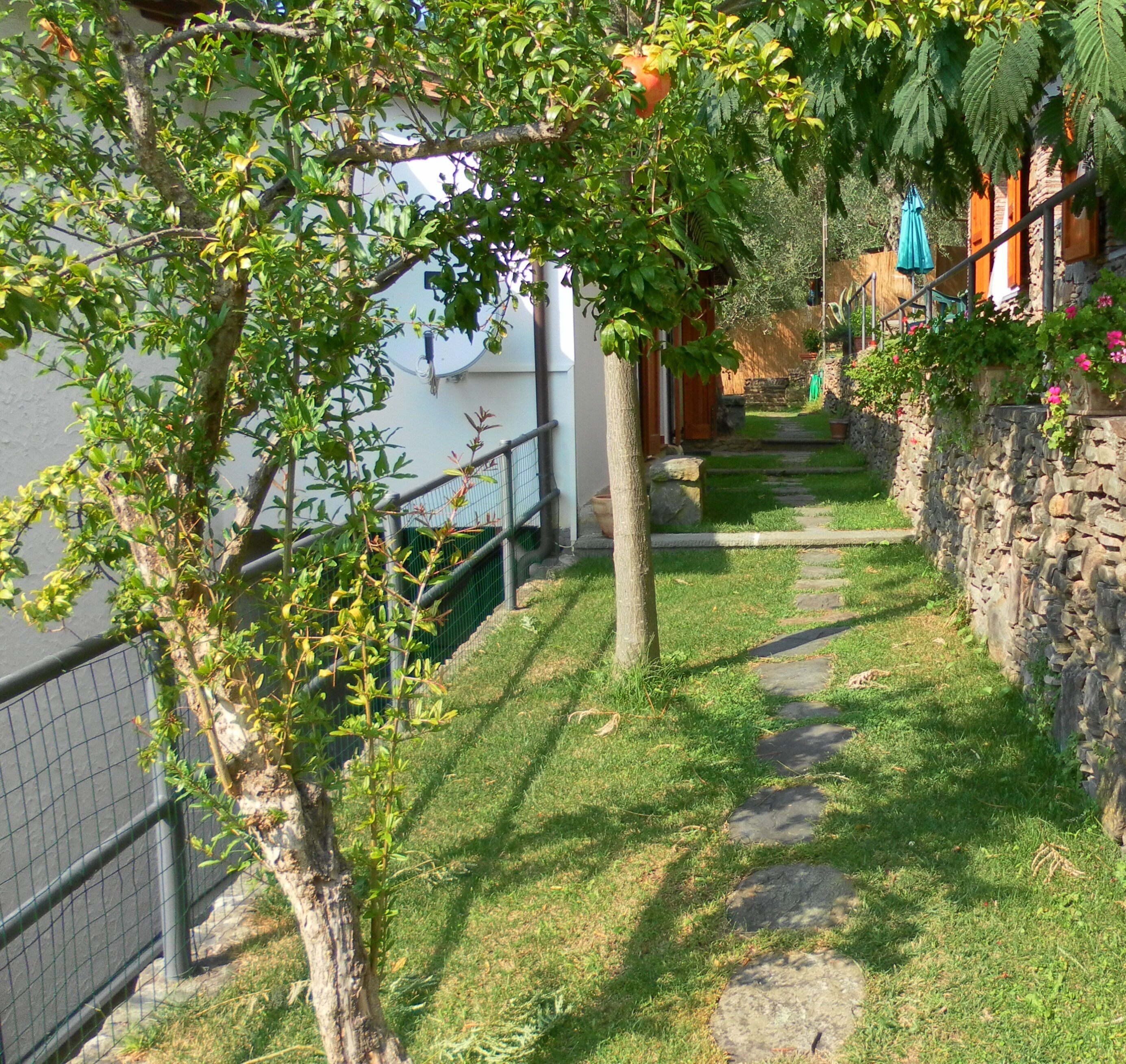 A stone pathway leading to a building, surrounded by greenery and a fence.