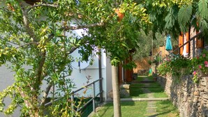A stone pathway leading to a building, surrounded by greenery and a fence. - PROMOTION Typical Tuscan dwelling, house with garden among olive trees (Calci)