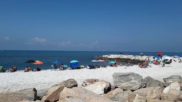 Lettini da mare