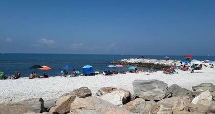 Tyypillinen asunto, puutarha talo oliivipuiden keskuudessa