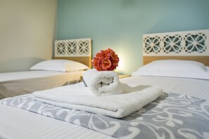 Deluxe Apartment, City View