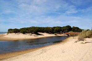 Plage à proximité, chaises longues, serviettes de plage