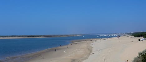 Plage à proximité, chaise longue, serviettes de plage