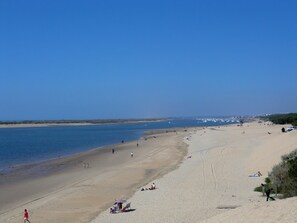 Plage à proximité, chaises longues, serviettes de plage