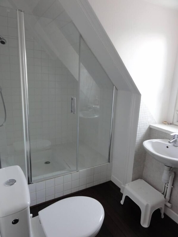 A bathroom with a glass-enclosed shower, a white toilet, a small white stool, and a sink with a mirror. - Villa HomeMalo 250m from the beach and the Sillon in Saint-Malo (Saint-Malo)