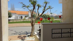 Vista desde el interior de un edificio, con una calle que se ve a través de él, mostrando un árbol y flores rojas en primer plano.