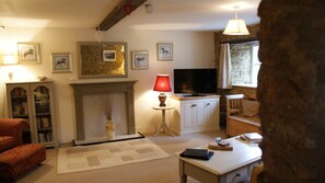 Smart TV, DVD player, books