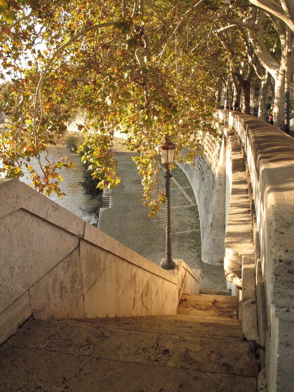 Property grounds - Unforgettable 'Roman Holidays' on foot between monuments and fountains - free WiFi (Roma)