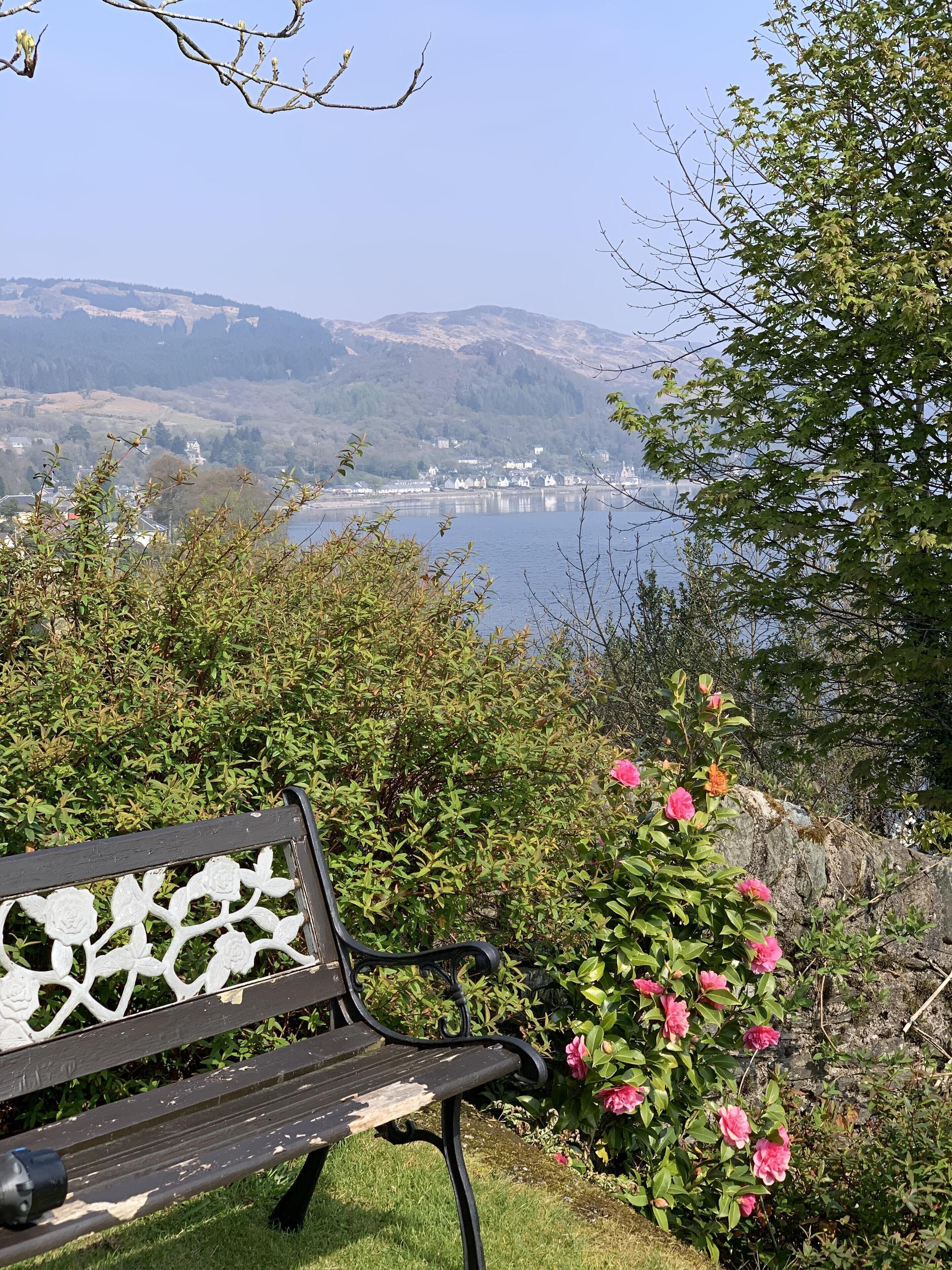One of the garden benches