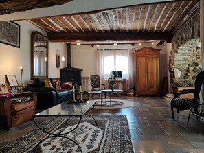 Televisión, chimenea, reproductor de DVD, libros