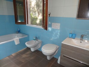 Combined shower/tub, hair dryer, bidet, towels