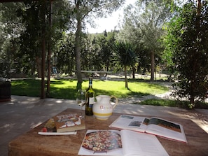 Terrasse/patio