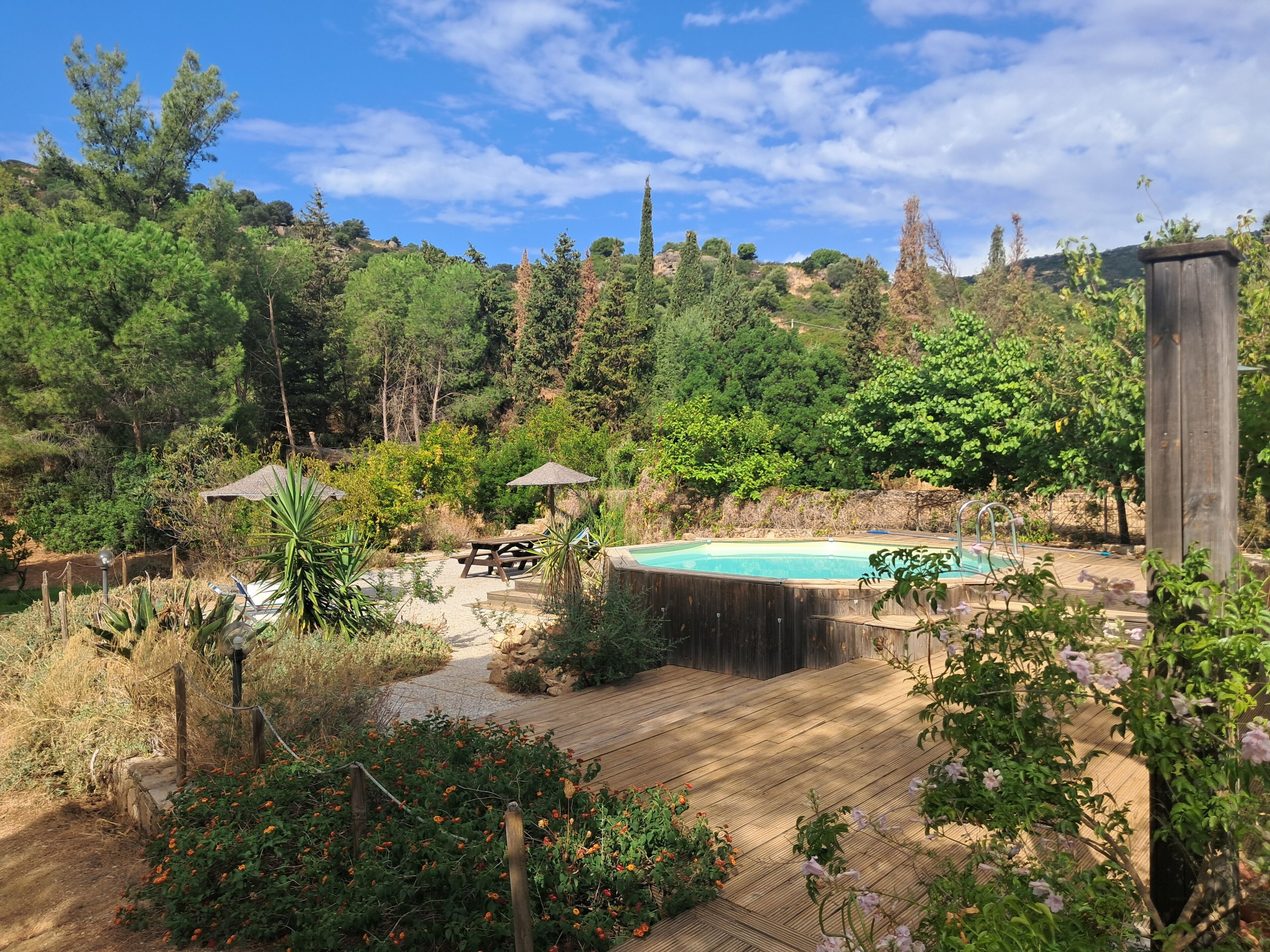 A backyard with a swimming pool, wooden deck, picnic table, and surrounding greenery.