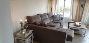 Smart TV, chimenea y libros 