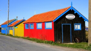 A row of colorful wooden buildings with blue trim and red roofs, likely serving as accommodations or small businesses. - studio - ST PIERRE D OLERON (Saint-Pierre-D'oléron)