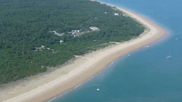 An aerial view of a coastal area with a sandy beach, a dense forest, and a few buildings. - studio - ST PIERRE D OLERON (Saint-Pierre-D'oléron)
