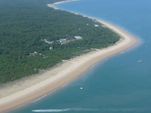 An aerial view of a coastal area with a sandy beach, a dense forest, and a few buildings.