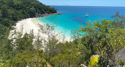 Villa créole au toit de chaume sur la plage avec une vue incroyable sur l'océan
