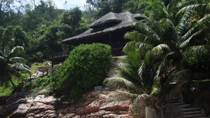 A beach with a thatched-roof structure, palm trees, and rocky terrain.