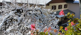 Apartment "Aquamarin" in traditional Austrian wooden chalet 