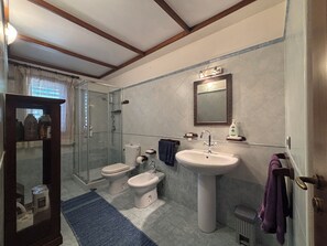 Dusche, Haartrockner, Bidet, Handtücher