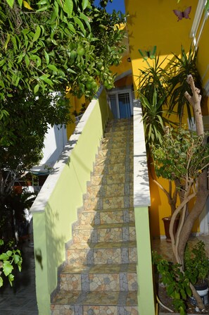 Exterior detail - Rhodes: Downtown near the port. House with air conditioning, terrace, courtyard and flower garden for 6 people (Rhodes)