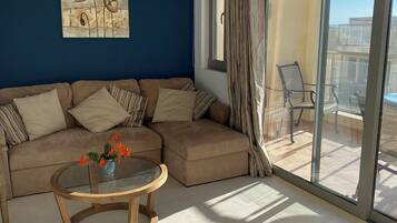 Smart-TV, DVD-spiller, bordtennis og bøker