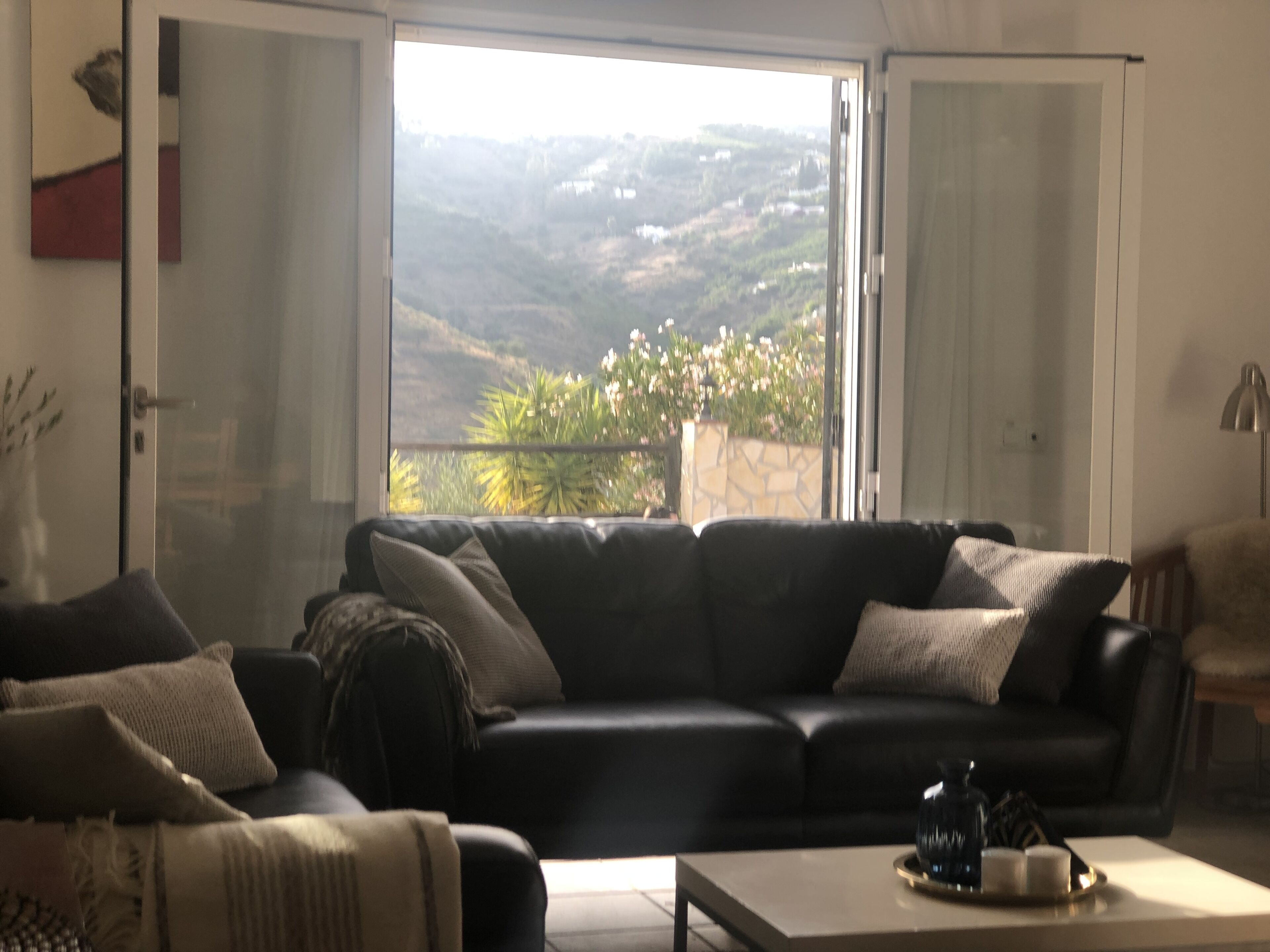 TV connectée, cheminée, lecteur de DVD, livres