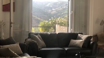 Smart TV, chimenea, reproductor de DVD y libros