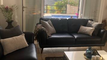 Smart TV, chimenea, reproductor de DVD y libros