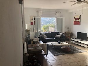 Smart TV, fireplace, DVD player, books