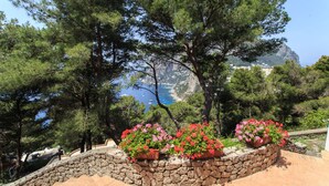 A stone pathway with flower planters, surrounded by trees and overlooking a coastal area with cliffs and the sea. - Villa with wonderful panoramic sea view with private pool (Capri)