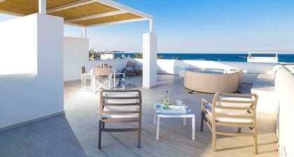 San Lorenzo - Rosmarino