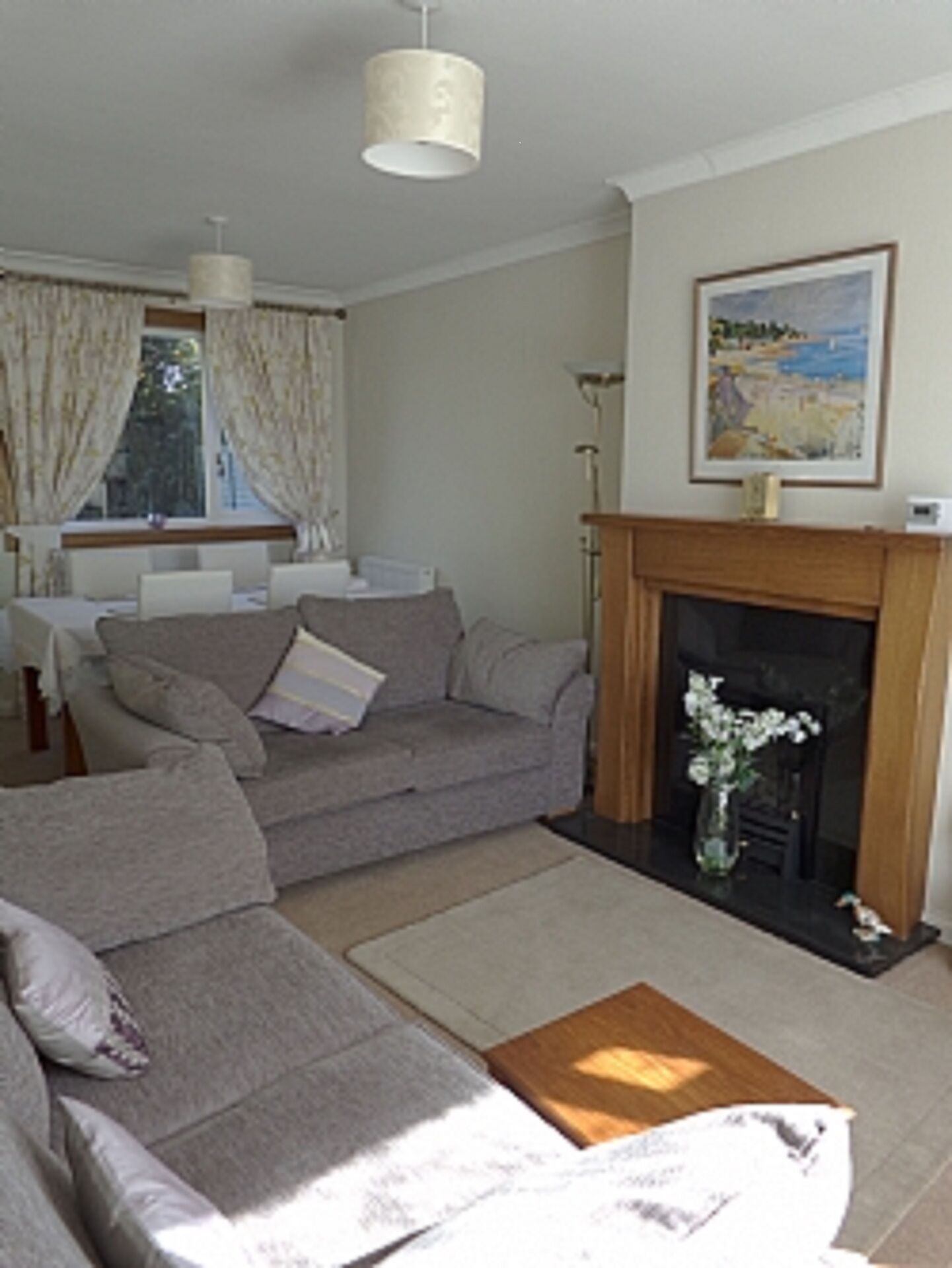 TV, fireplace, DVD player, books