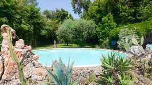 A swimming pool surrounded by rocks and various cacti. - La Bouganville swimming pool & relaxation (Camaiore)