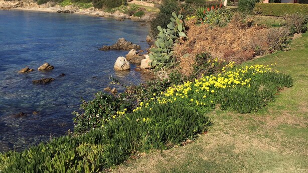 Property grounds - Apartment/ flat with garden and wonderful view over the Sea (Golfo Aranci)