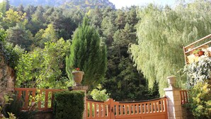 Un rigoglioso giardino con un cancello in legno, alberi fitti e montagne rocciose sullo sfondo.