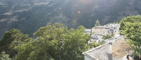A view of a valley with a small village and dense greenery.
