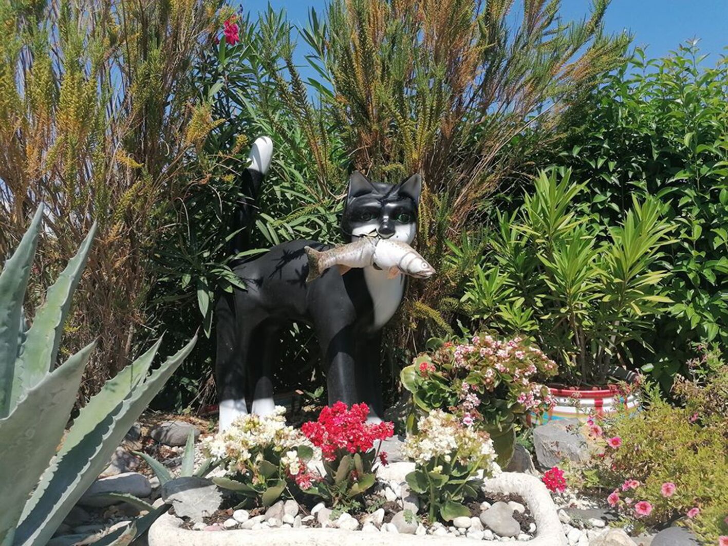 Un jardin orné d’une statue de chat noir et blanc tenant un poisson, entouré de différentes plantes et fleurs.